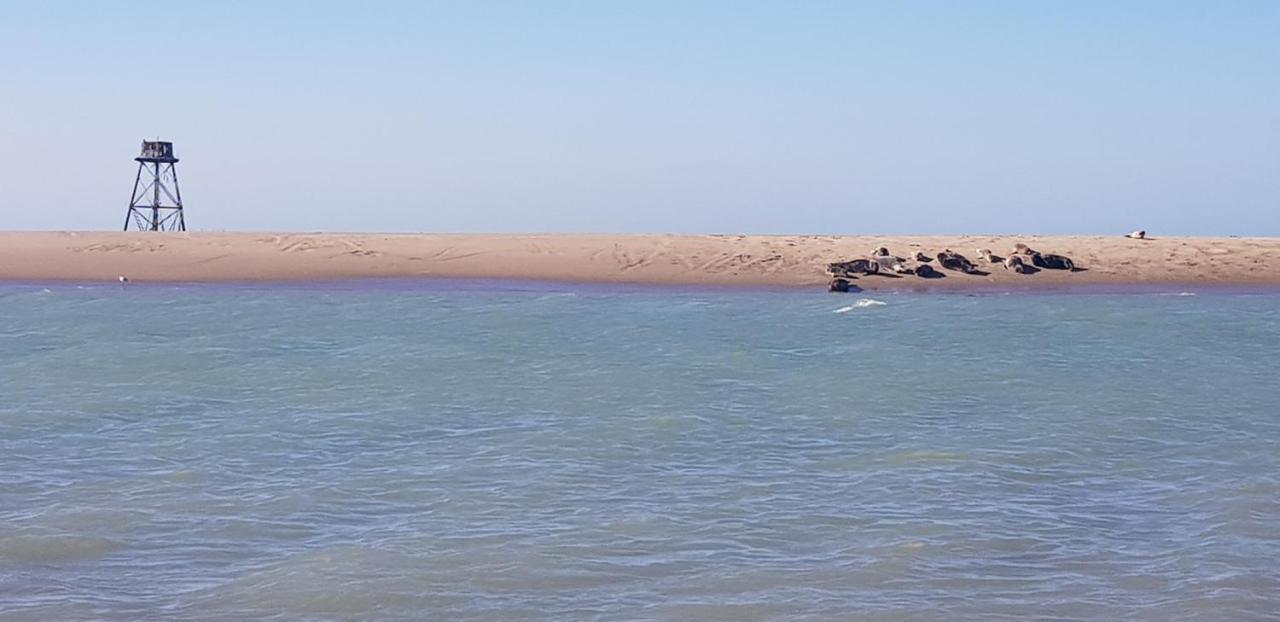 مبيت وإفطار Oye-Plage L Hyppo Camp' المظهر الخارجي الصورة